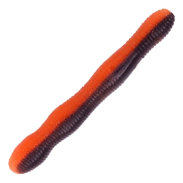 D3