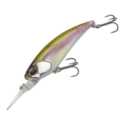 D3