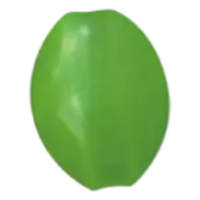 Miura Dama