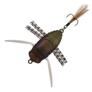 D3