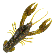 Craw
